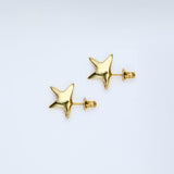 Pierce_star charm_K24gp_F109