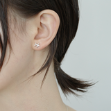 Pierce small dog_M024