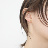 Pierce small dog_M024