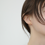 Pierce small ribbon_M025