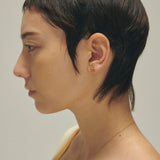 Pierce small dog_M024