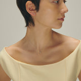Pierce small dog_M024