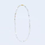 Shell necklace_I004
