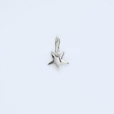 Star charm_F005