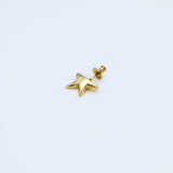Pierce_star charm_K24gp_F109